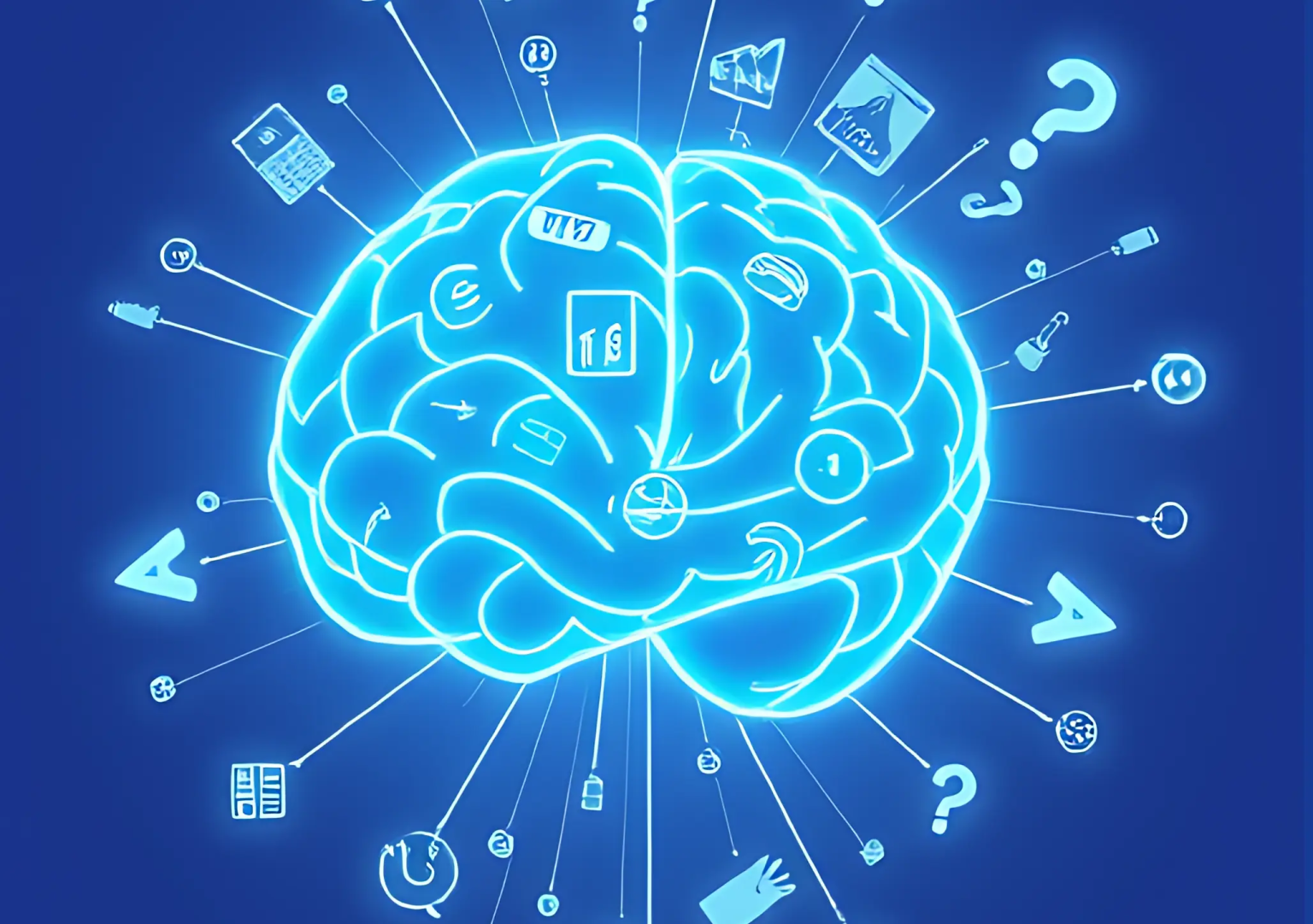 brain question 1 1536x1081